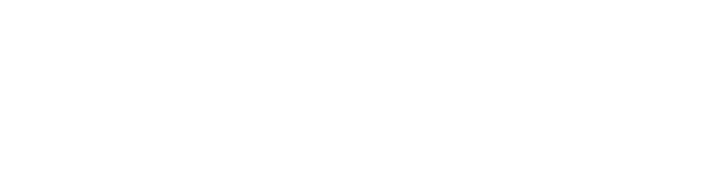 Dynamix Accounting logo
